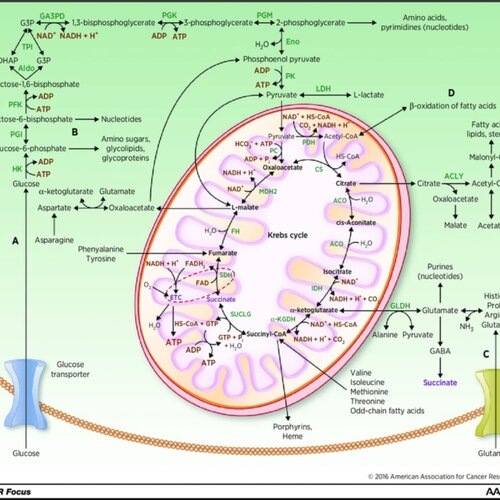 Biochemistry 1
